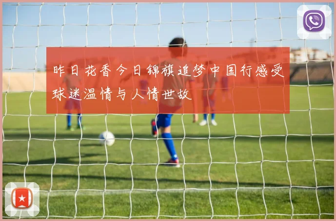 昨日花香今日锦旗追梦中国行感受球迷温情与人情世故